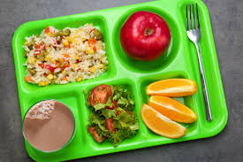 picture of a green lunch tray with an apple, orange slices, salad and rice